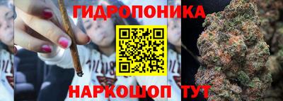 индика Кинель