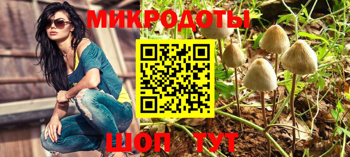 Галлюциногенные грибы Кстово